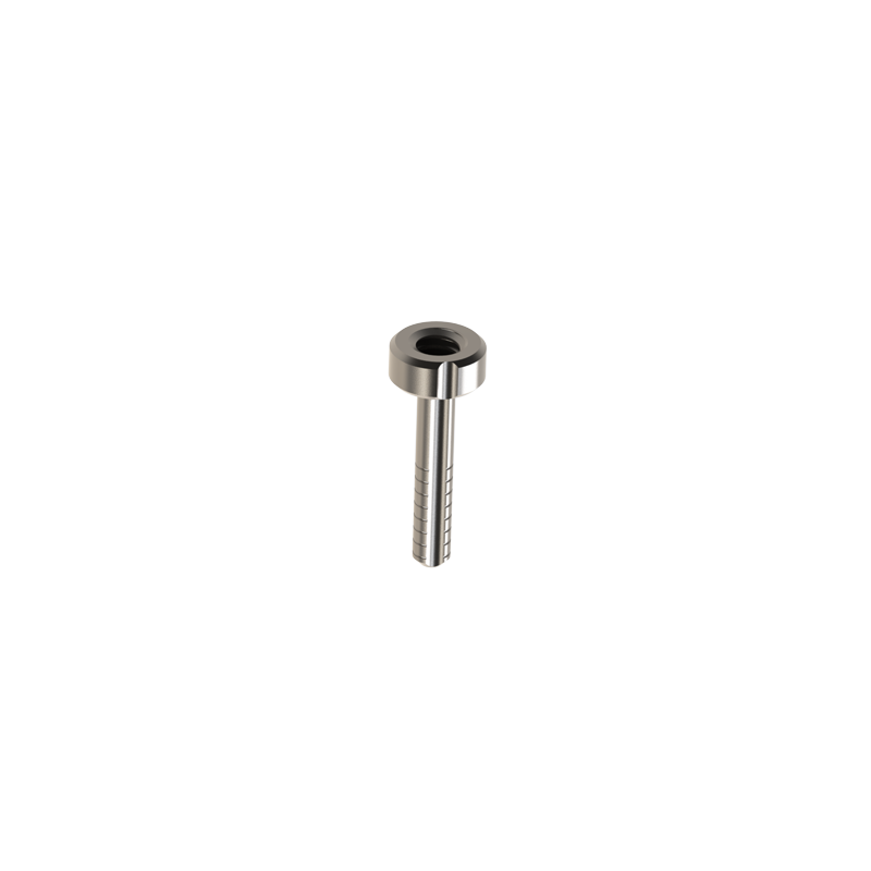PIN RAÍZ