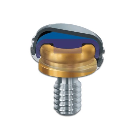 ZEST DENTAL - KIT PROTÉSICO